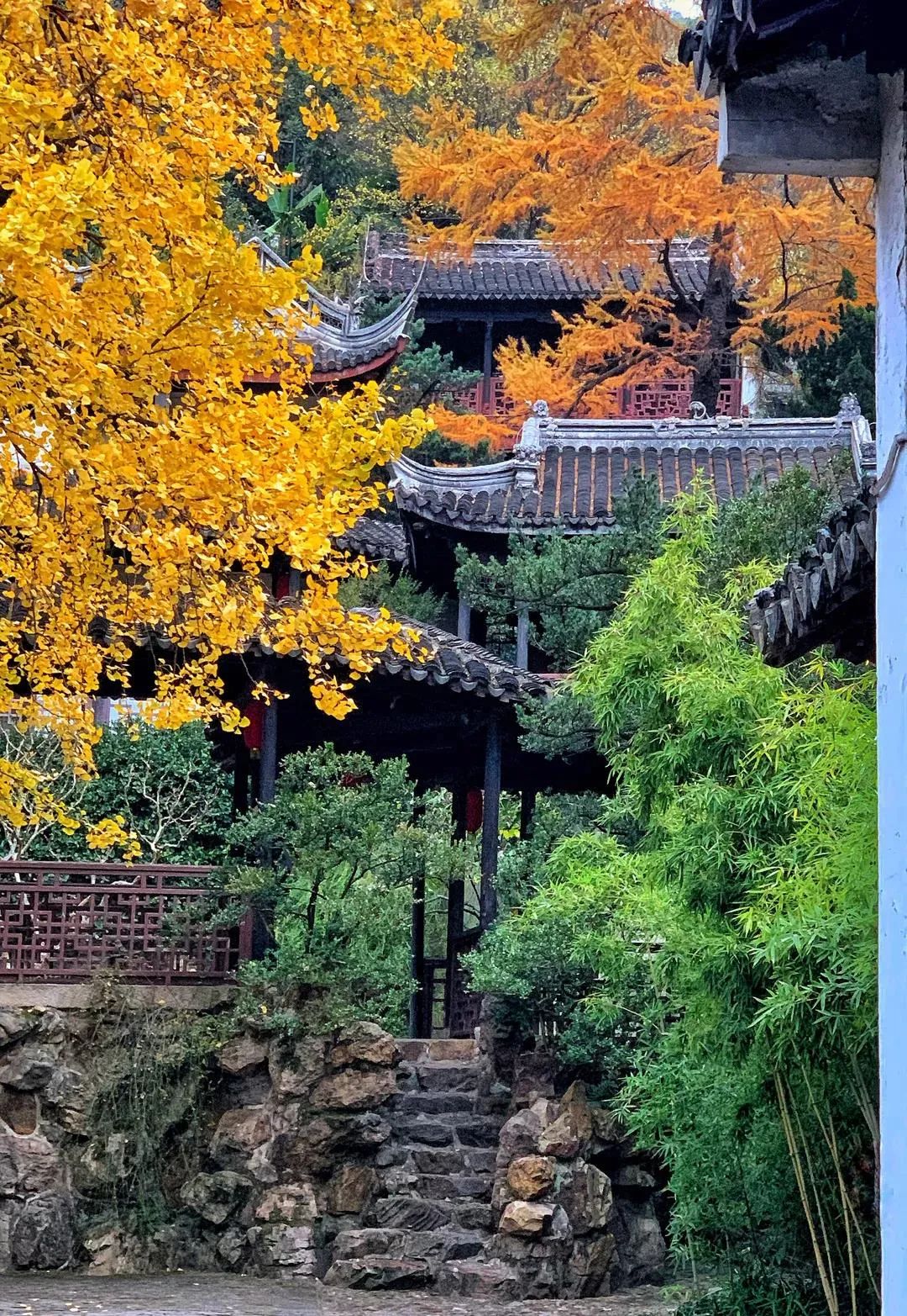 寄畅园 · 山水之间的静谧园林之美丨中国无锡-12