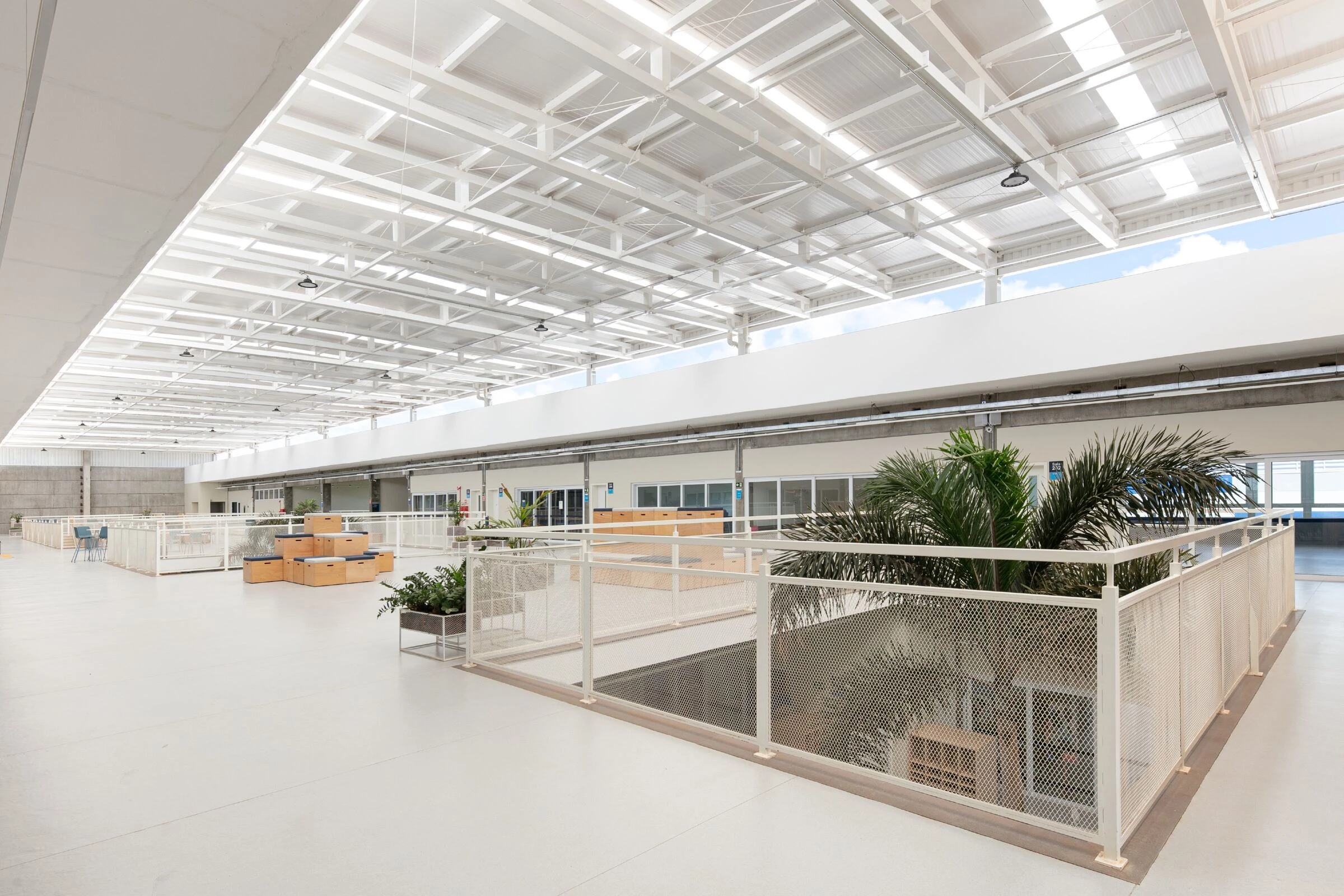 圣安东尼奥马里斯特学校丨Hype Studio-29