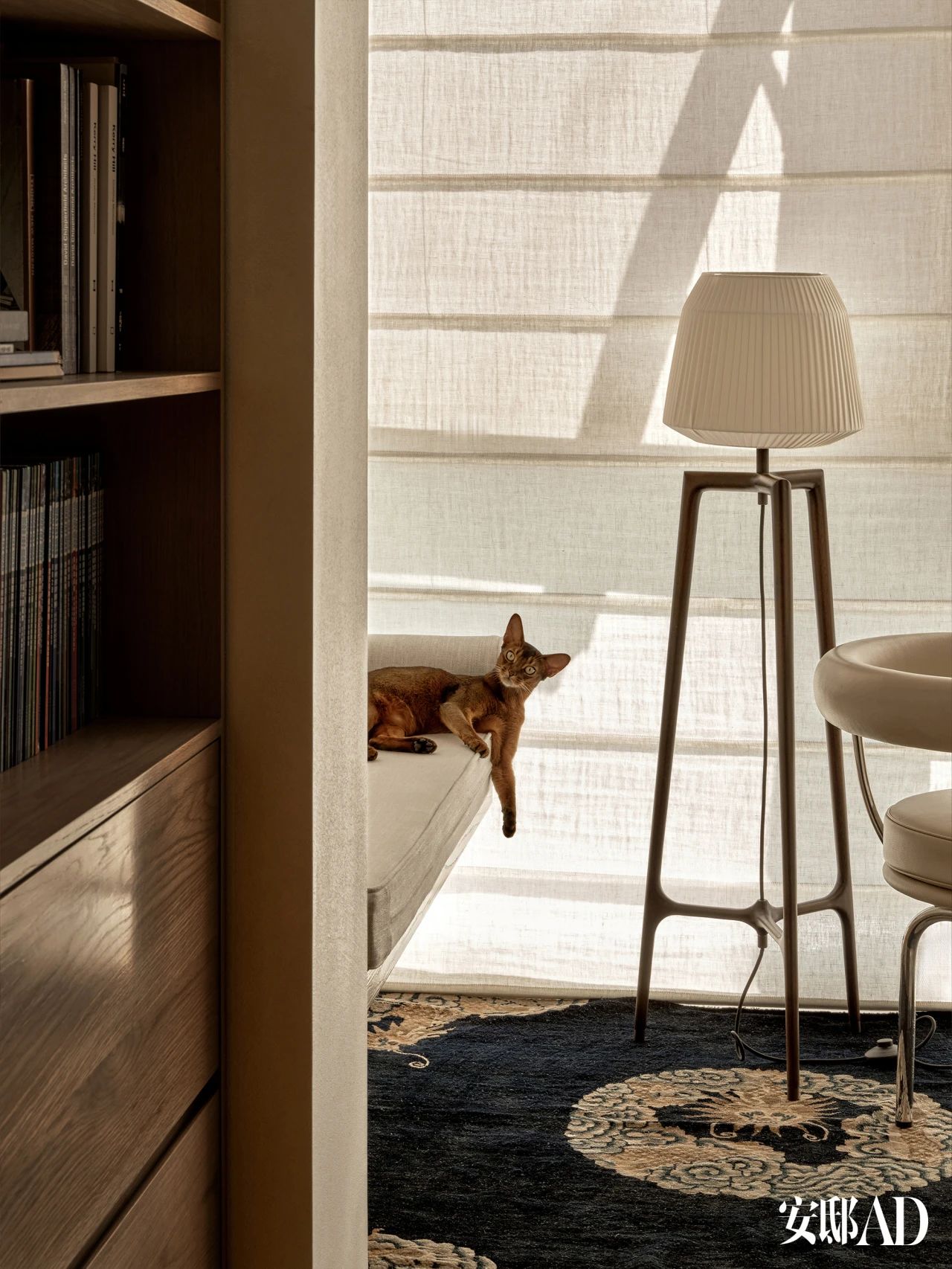 “梦幻曲之家”丨中国北京丨王旎-31