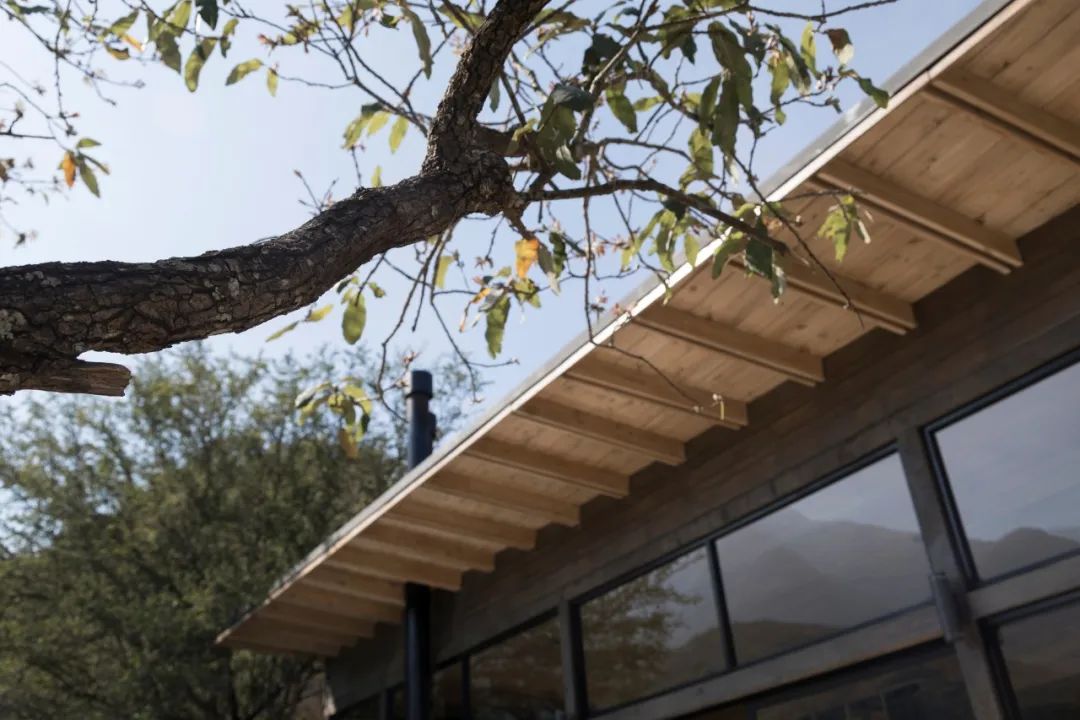 墨西哥现代住宅设计 | 融入自然,展现多元文化-153