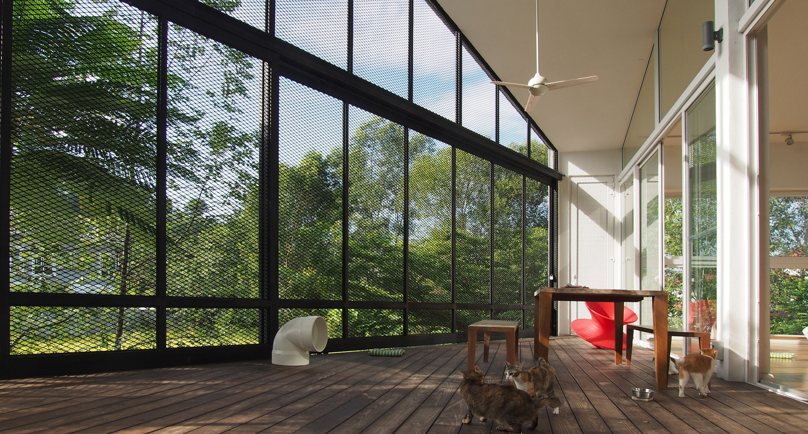 38Mews House  Design Collective Architects-31