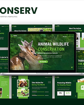 安尼康瑟夫 演示文稿模板