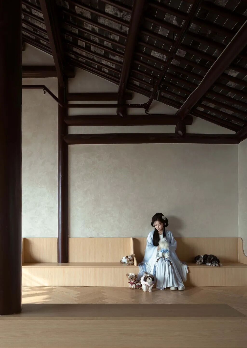 Tata Party猫咖丨中国苏州丨Parallect Design-30