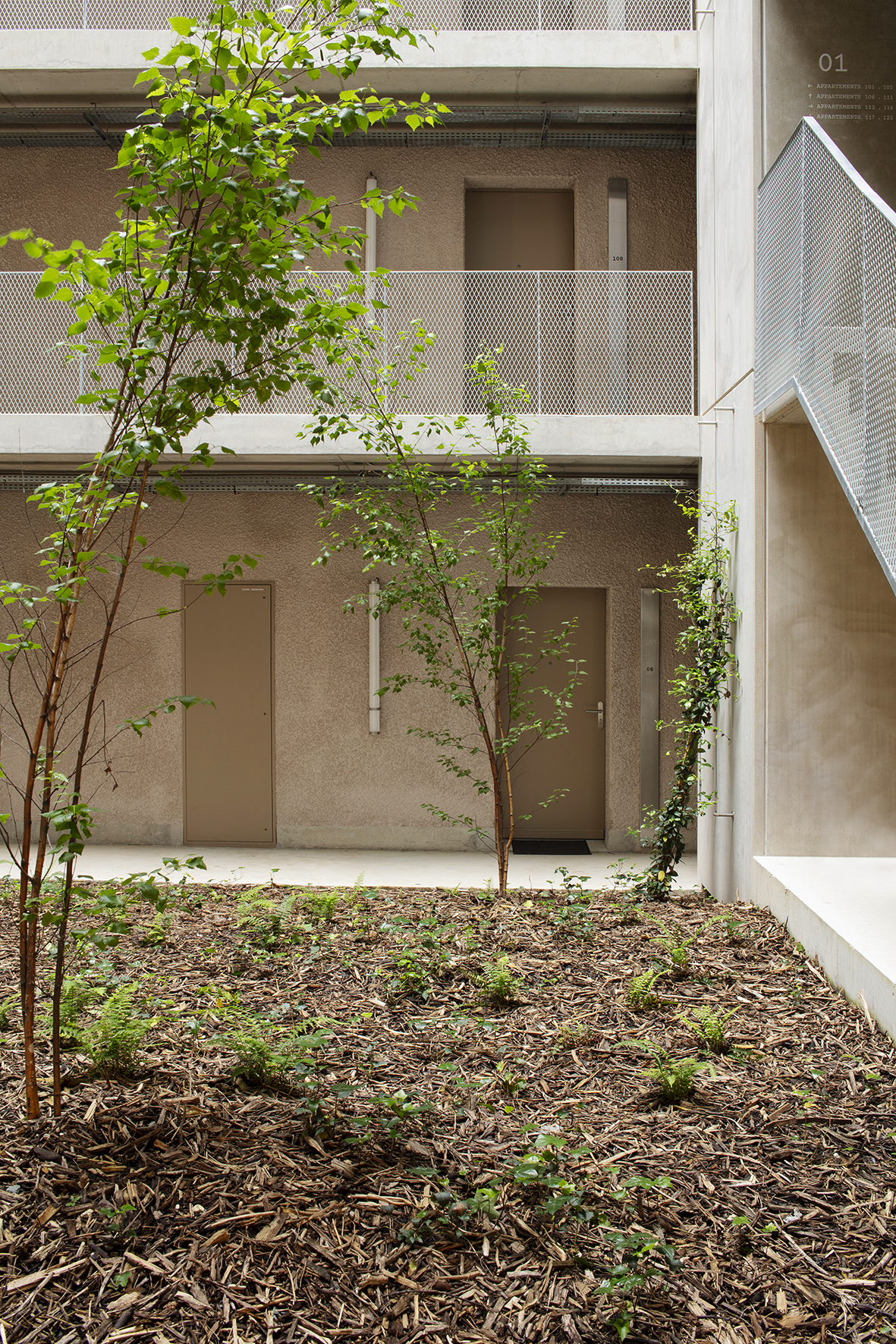 丨法国丨A6A,Cetab,Borteq-35