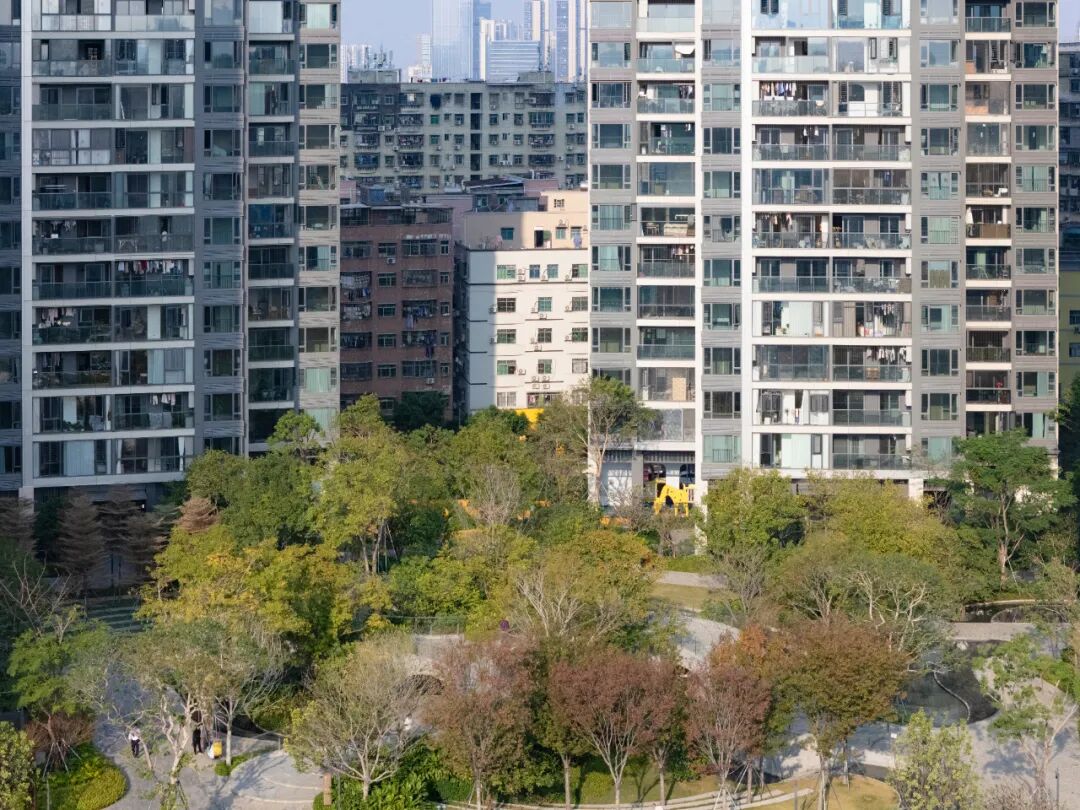 仁恒深圳公园世纪三期丨中国深圳丨TROP:terrains + open space-9