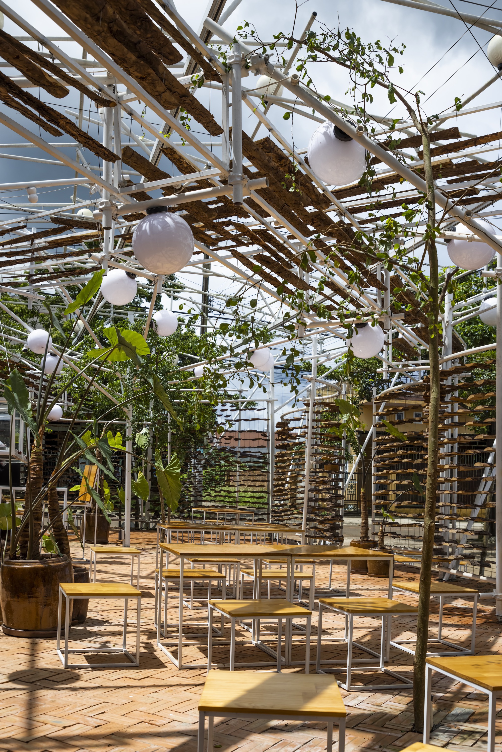 采茶,开花丨越南-24