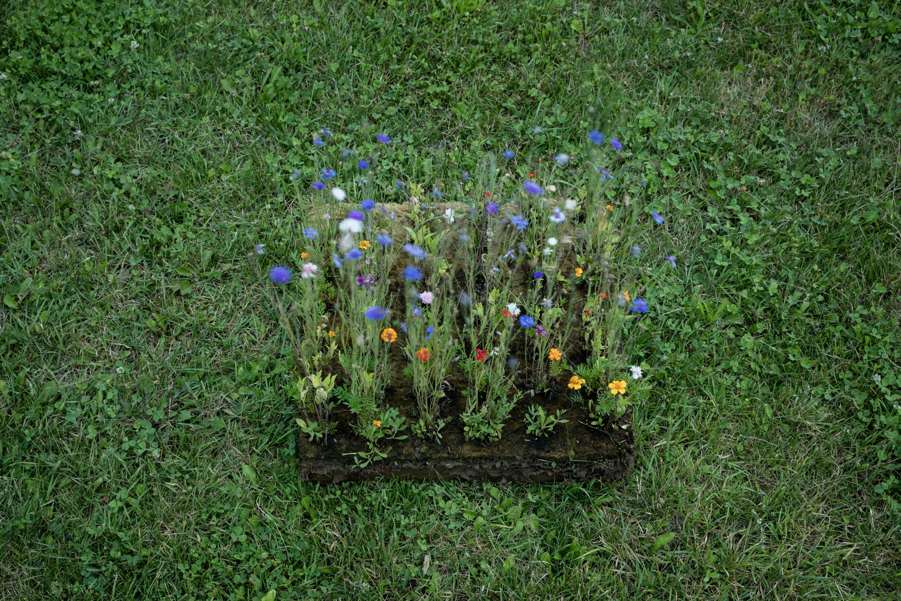 Slavkov u Brna 实验结构-18