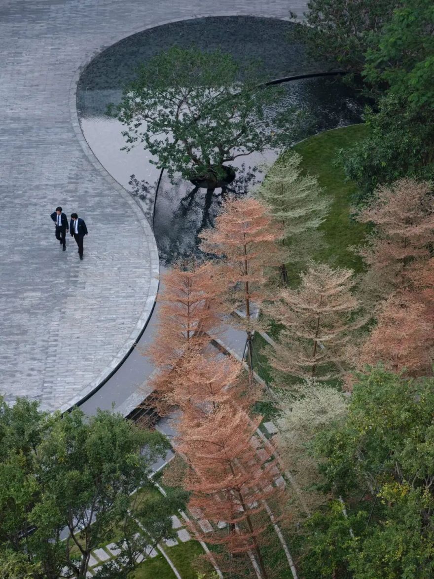 仁恒深圳公园世纪三期丨中国深圳丨TROP:terrains + open space-105