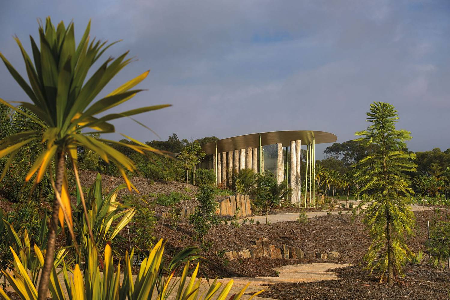澳大利亚克莱本皇家植物园景观-11