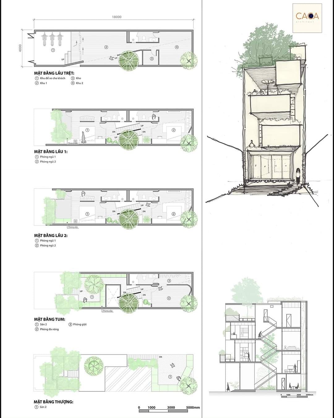 素描帮助专辑-41