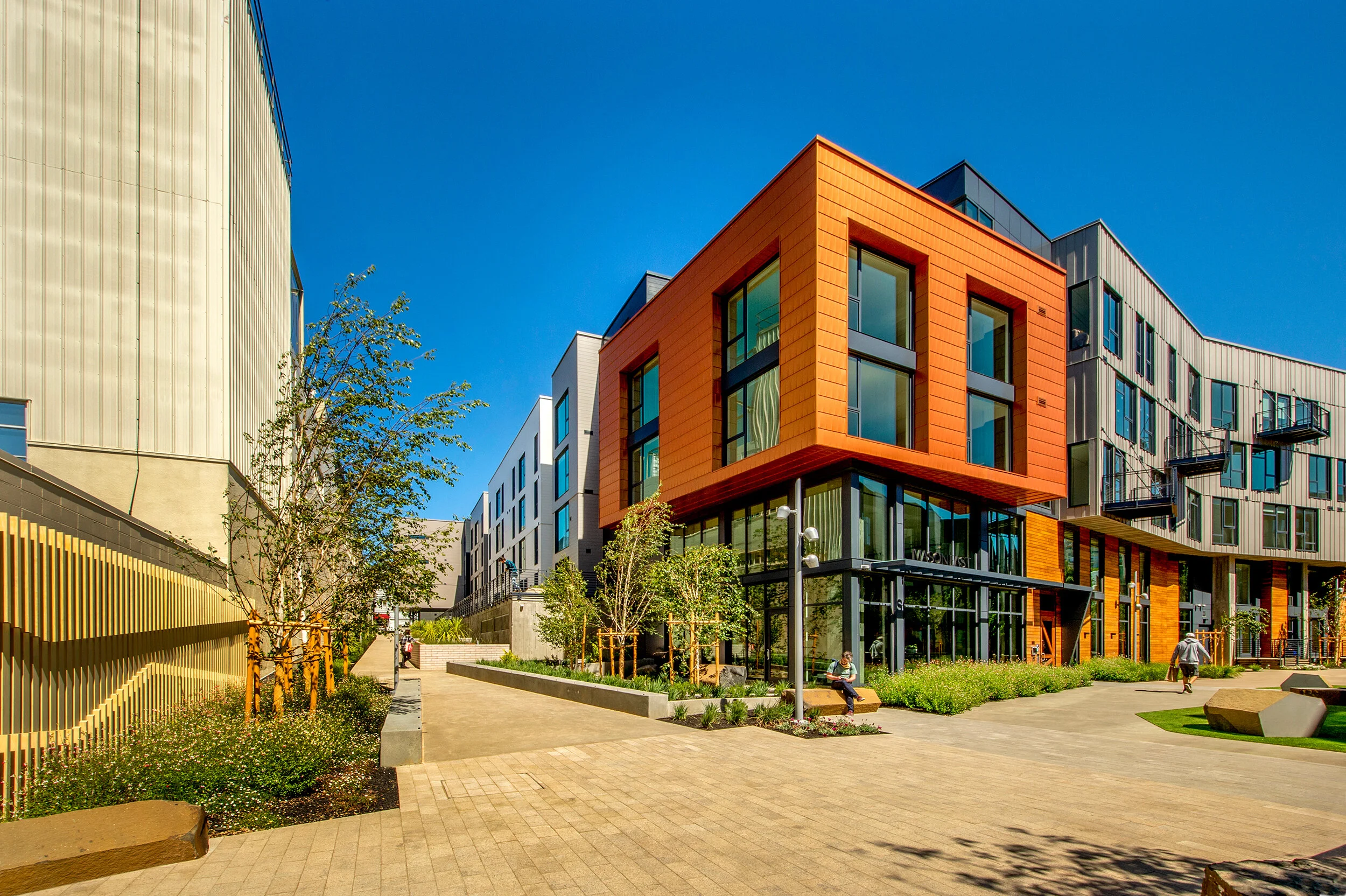 Mariposa Greenway（马里波萨绿道）丨美国丨Fletcher Studio（弗莱彻工作室）-25