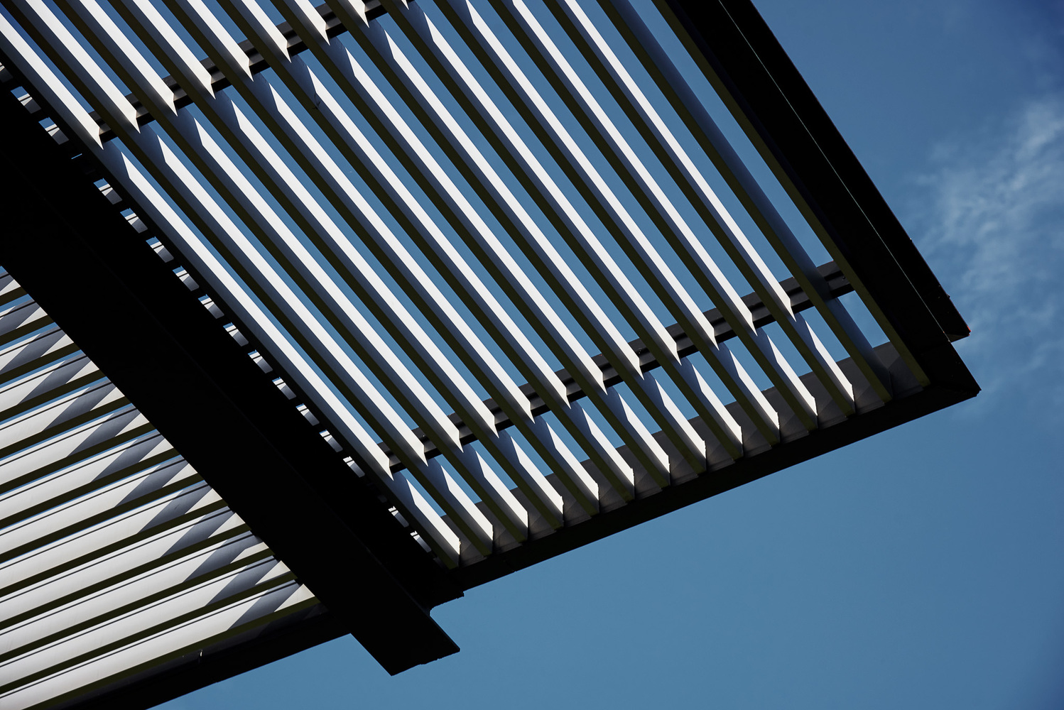 泰国田园风光中的现代钢结构之家-31