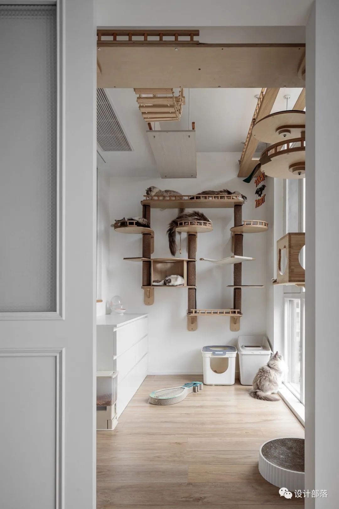 日式猫舍之家丨中国成都-50