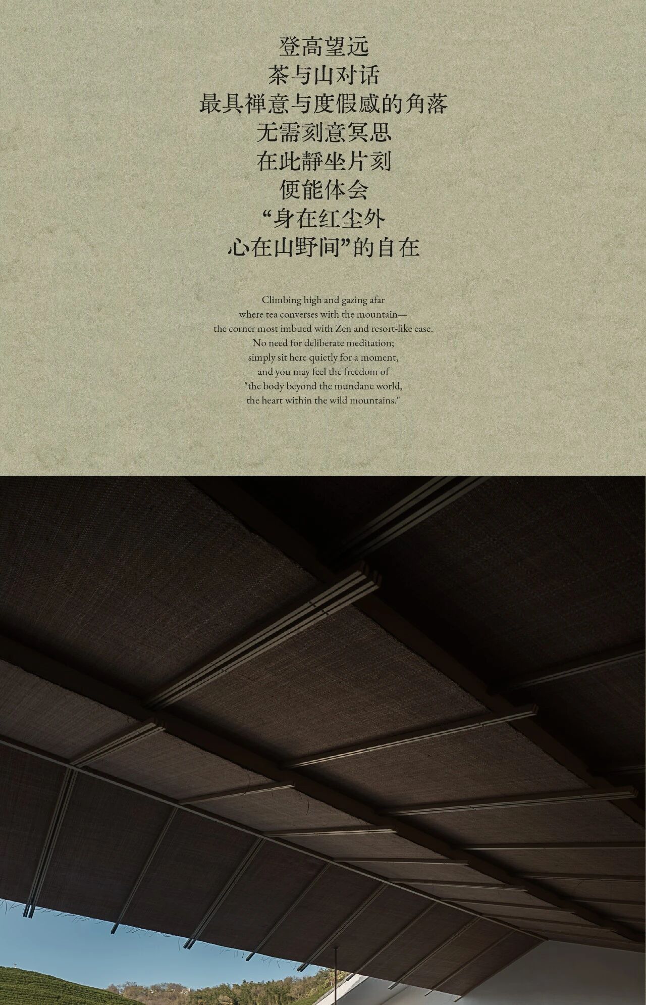 春山在望  溧阳天目湖玉枝茶场 茶语山房-26