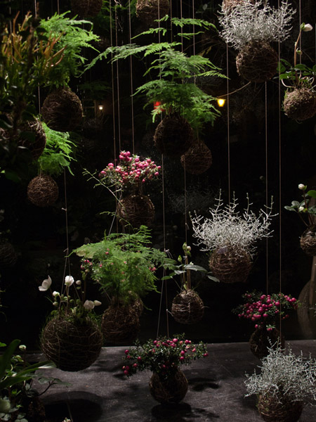 Fedor Van der Valk 打造室内绿洲 · 创意日本园林风格-11
