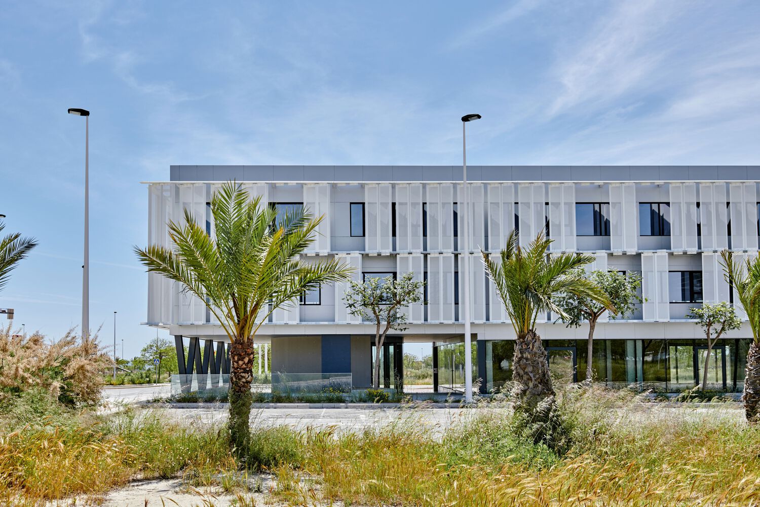 西班牙 Elche 市 77A 建筑-57