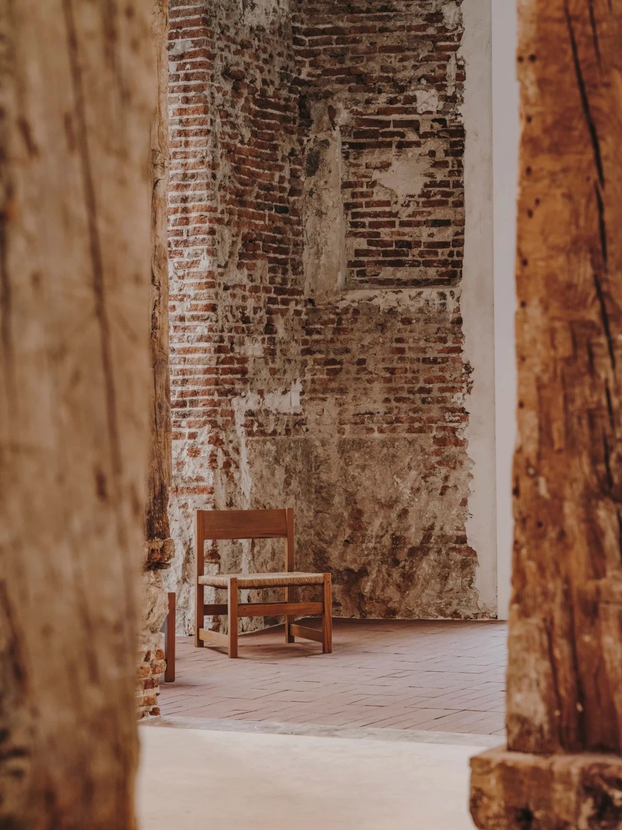 PLANTEA|新的生命力-46