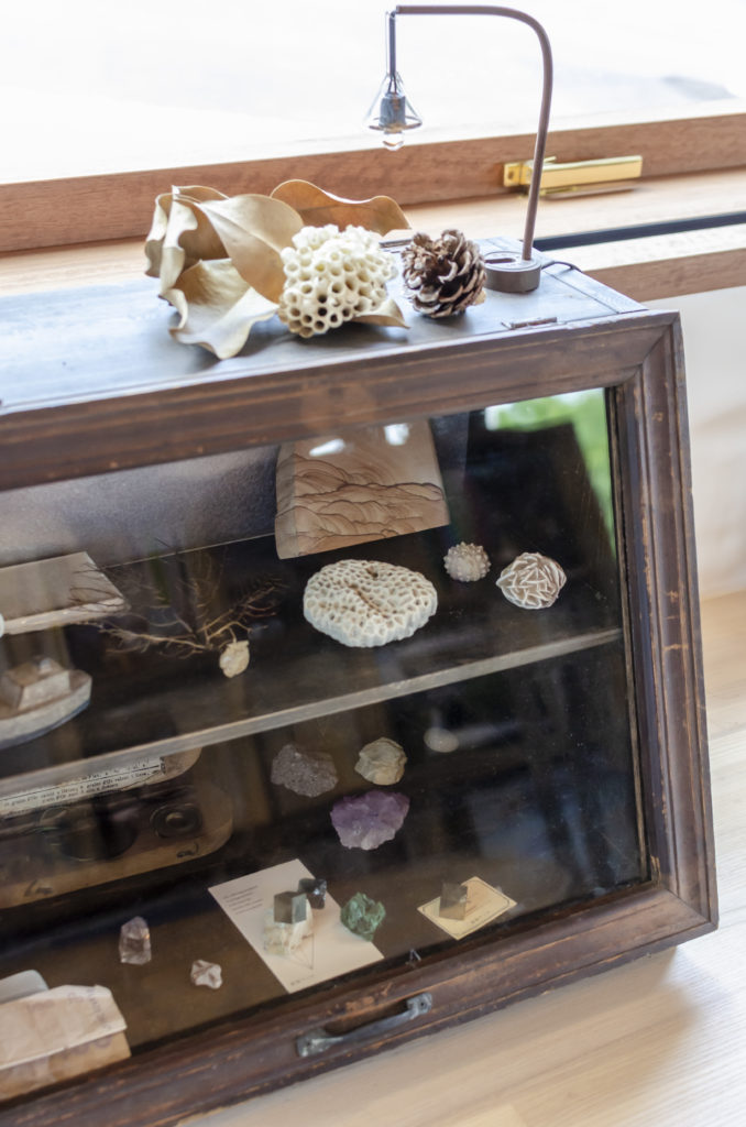 丘の途中に立つ家開放的で庭の一部のようなコンクリート造の空間に住む | Architecture | 100%LiFE-19