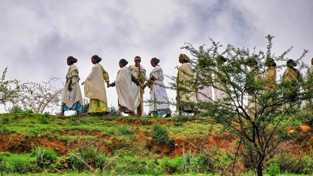 奋进40|埃塞俄比亚谢格尔公园友谊广场景观设计-5