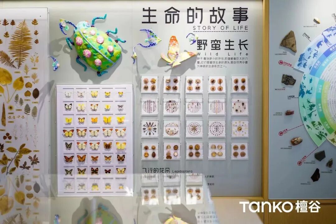 从场景营造到空间运营|洛嘉教育的社区实践与探索-38