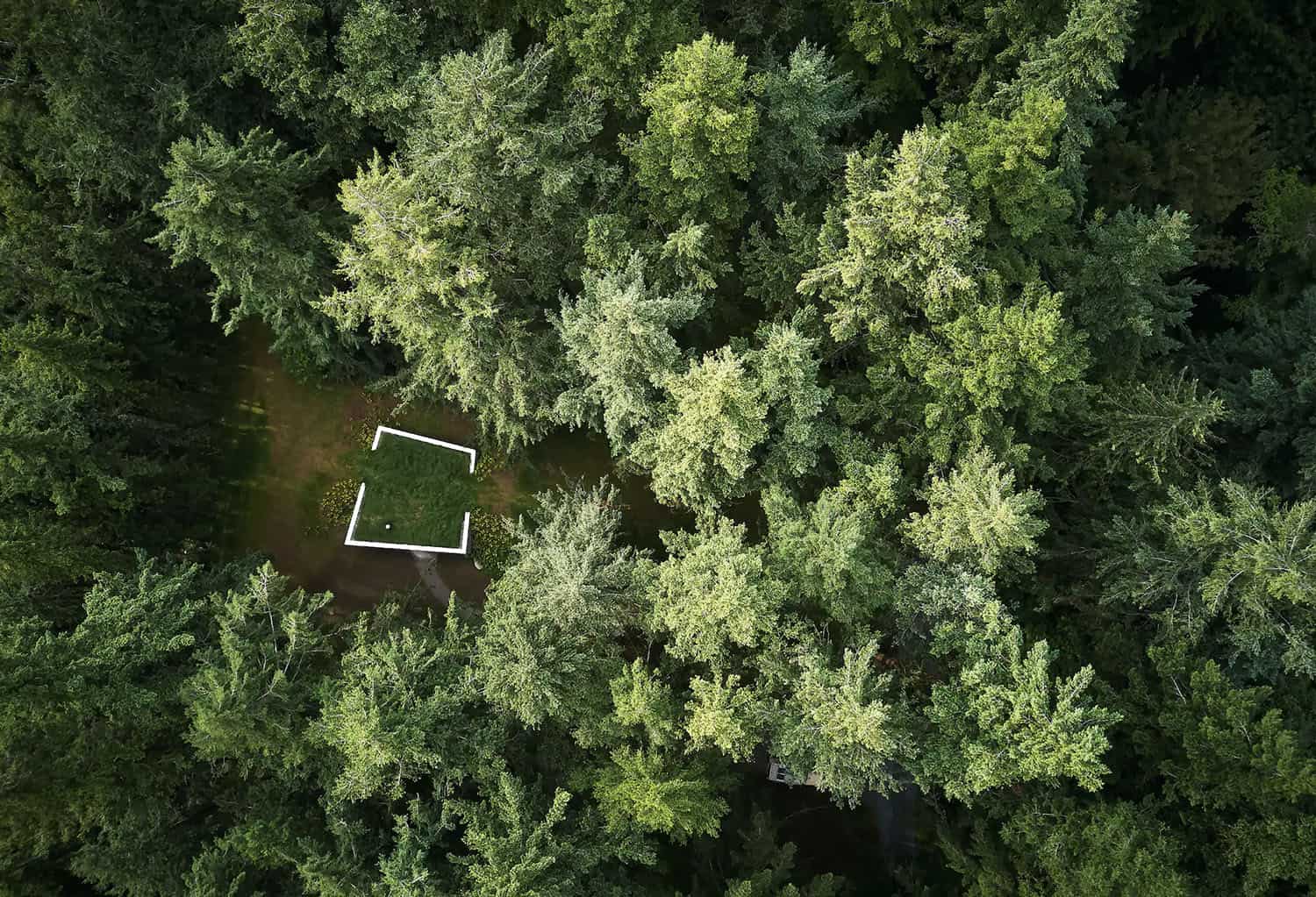 An intimate retreat tucked into a forest overlooks serene Puget Sound-17