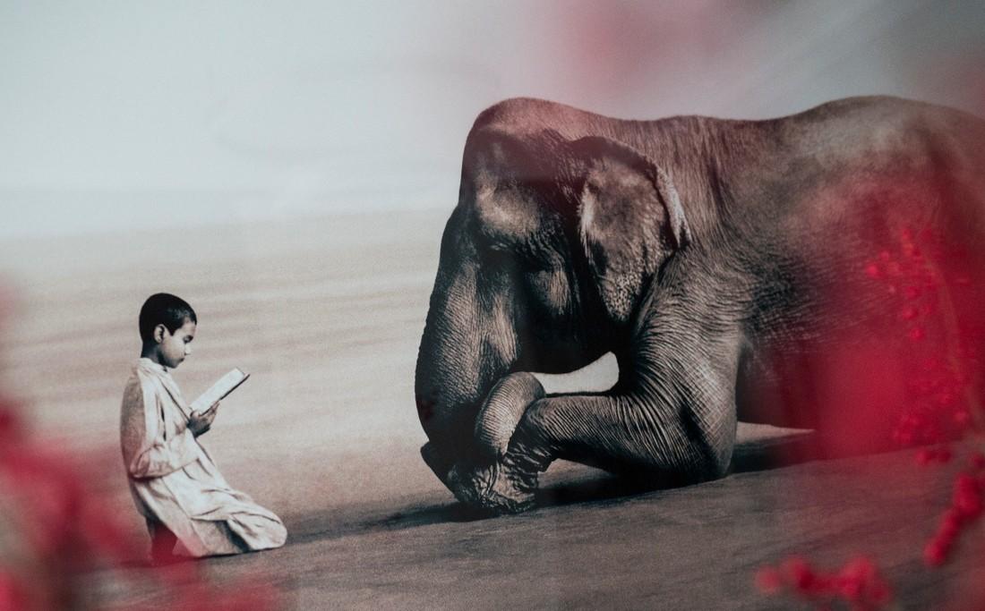 "包容互动"的家居设计理念-26