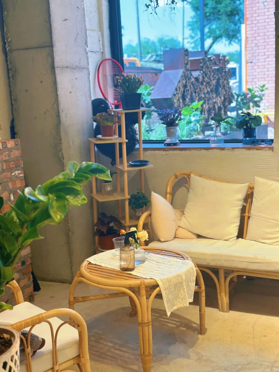 城市中的【小森林】-14