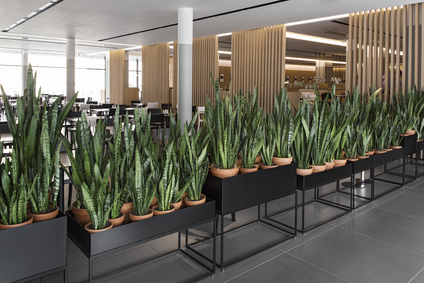 圣彼得堡 Azimut 酒店地下餐厅 43,1-7