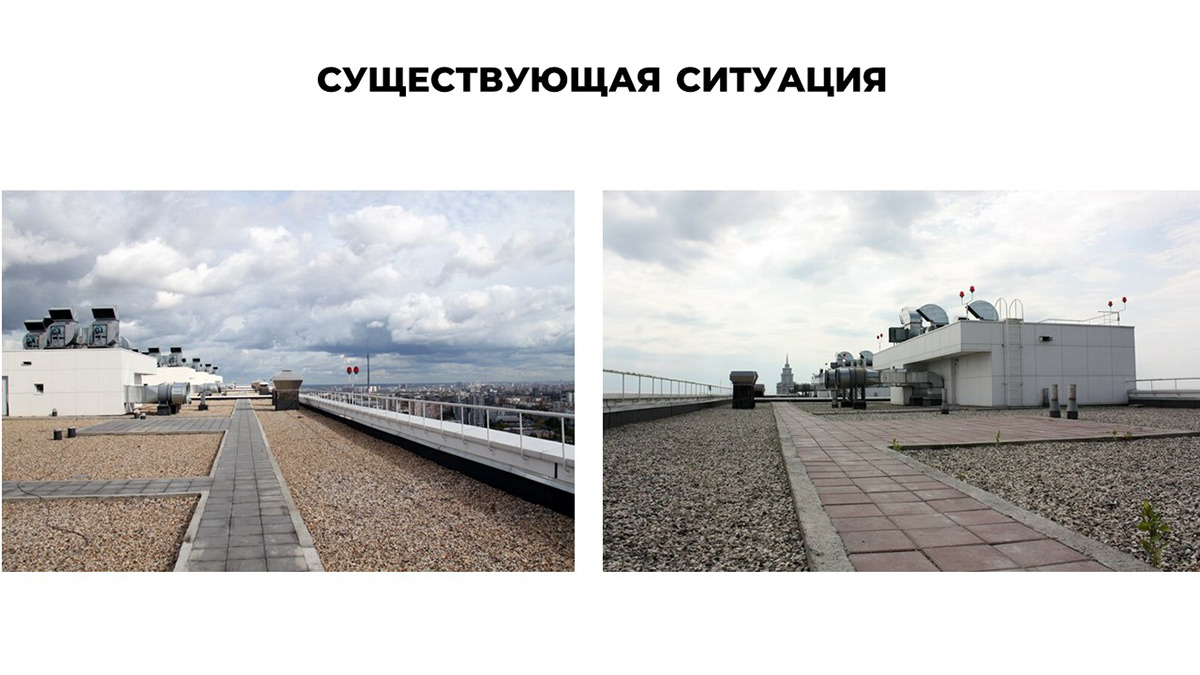 Дизайн-концепция по озеленению крыши-2