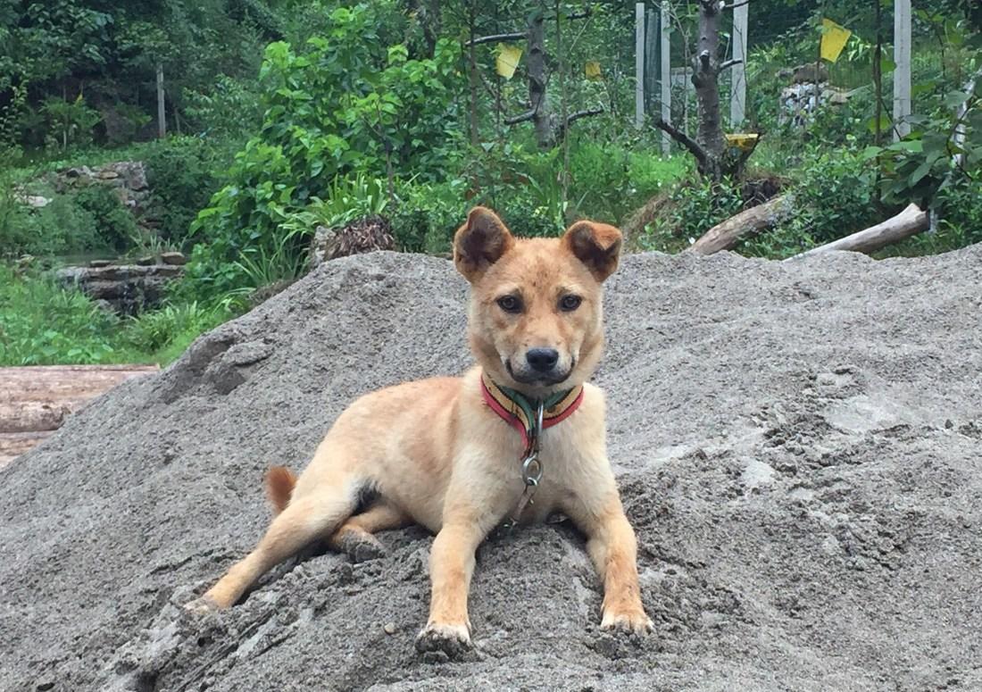 依山而立的雯雯之家 | 原木与化石的纯净邂逅-12