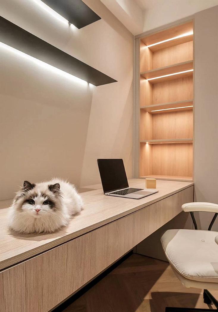 奇葩扇形户型改造-62