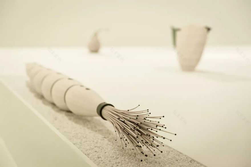 无华 · 卢志荣作品展-56