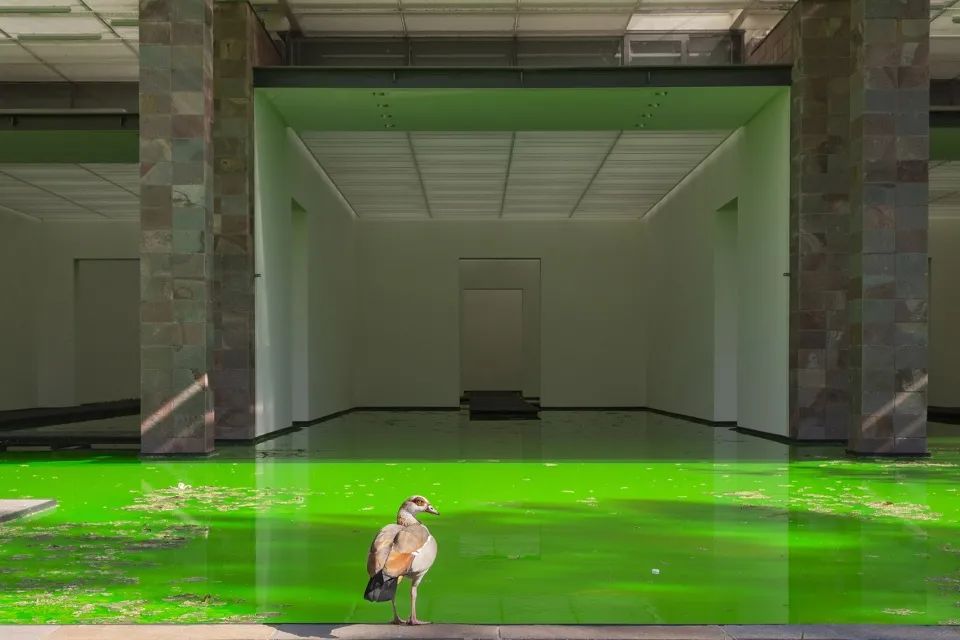 《生命》·融入自然的艺术展览丨Olafur Eliasson-20