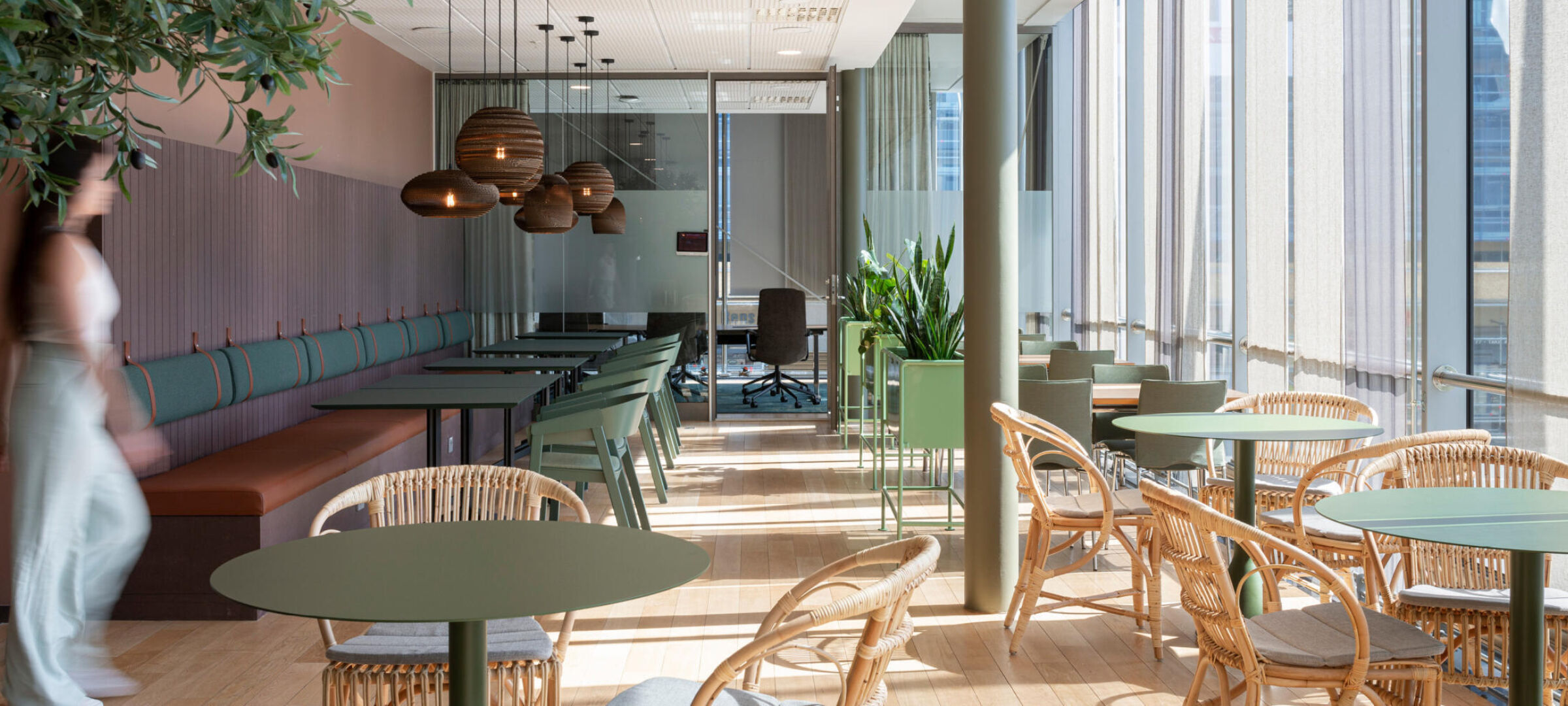 丨未明确提及-16