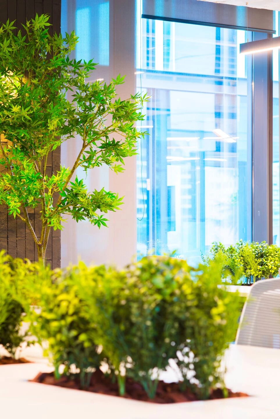 智利圣地亚哥 Grupo Patio 办公室·人性化,灵活,创新设计-37