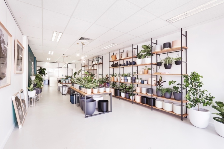 Hass & Co Botanics 店-16