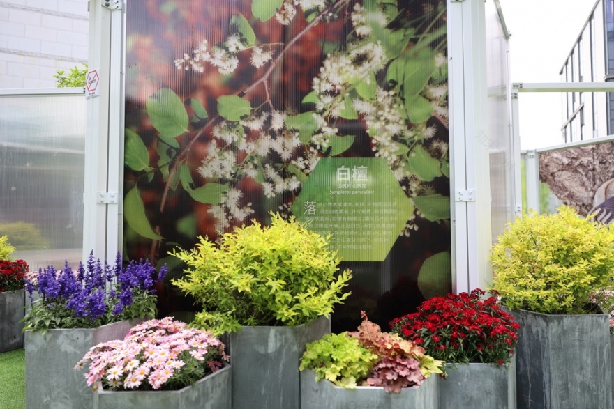 雨花快闪公园丨中国南京丨苏邑设计集团-57