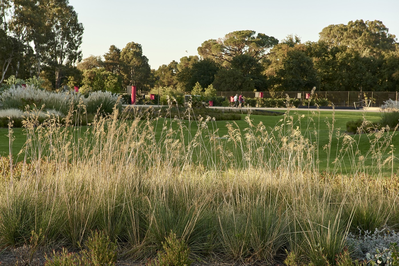 未来花园丨澳大利亚丨泰勒·卡利尔景观设计事务所-16