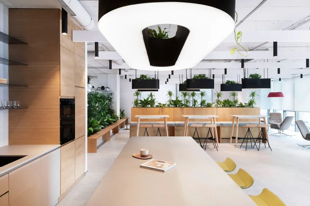 保加利亚索菲亚制药公司办公室设计丨DA architects,Ricardo Alves-10