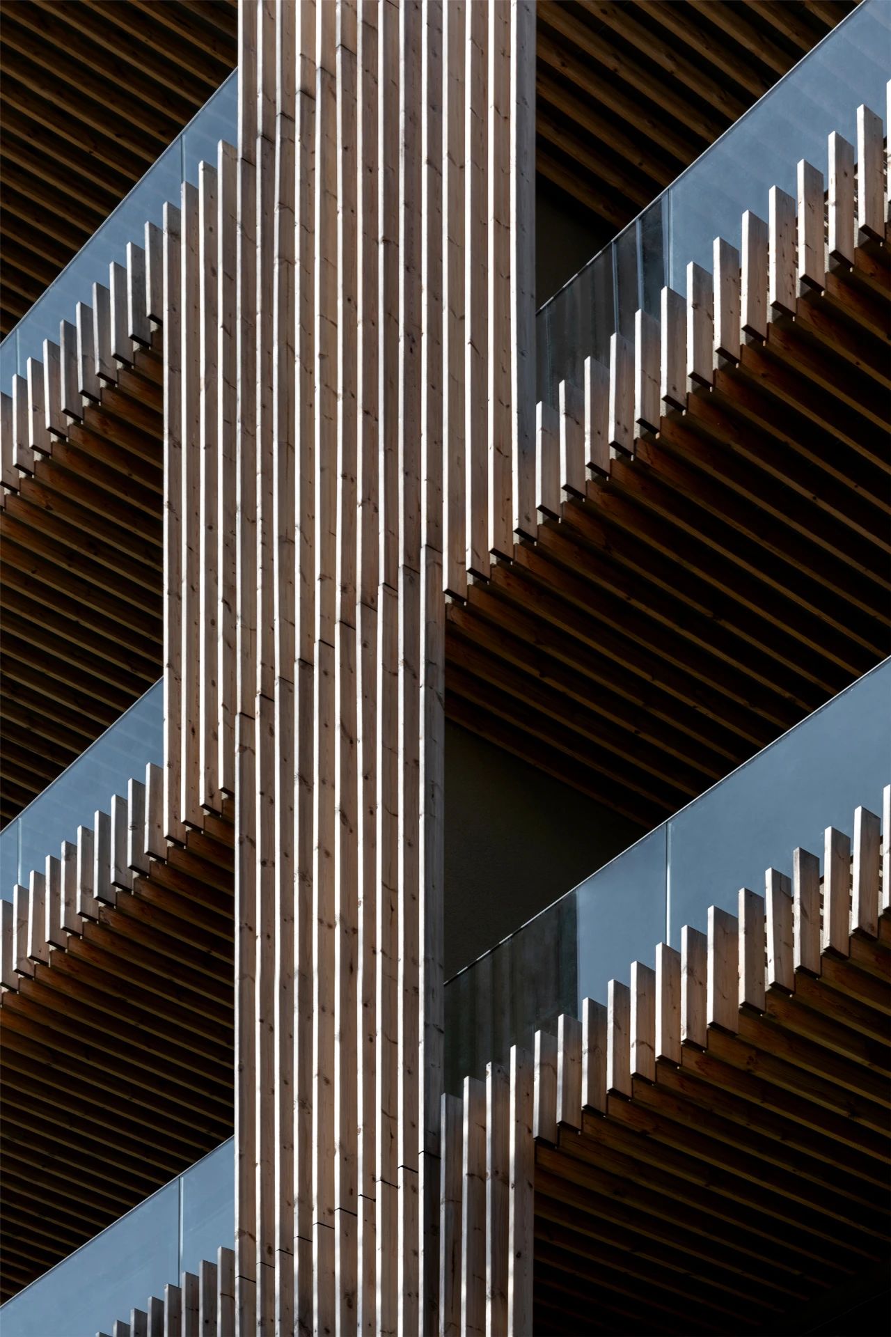 竹中诊所 - 温暖透明丨日本丨TSC Architects-82