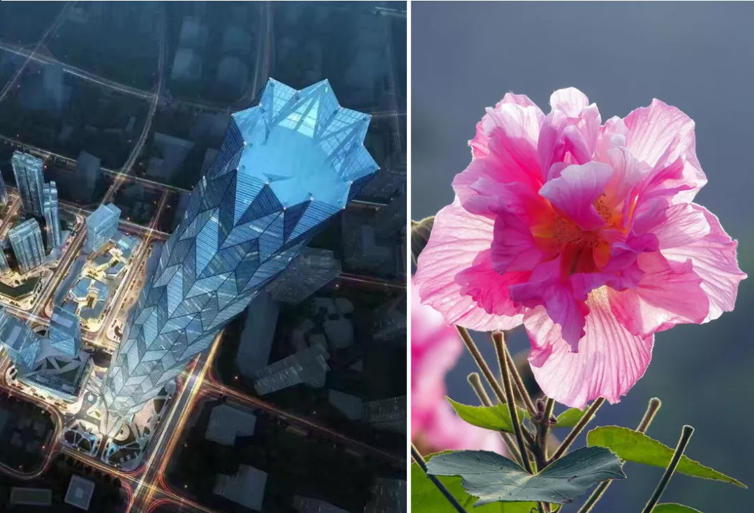 成都绿地蜀峰 468丨中国成都丨美国 AS+GG 建筑事务所-20