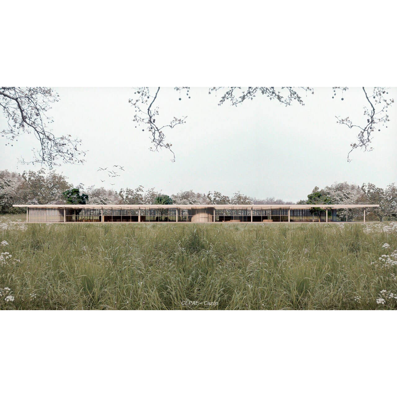 CEPAE  未建成建筑（健康建筑）丨阿根廷丨Candela Cwi,Paula Chacon-2