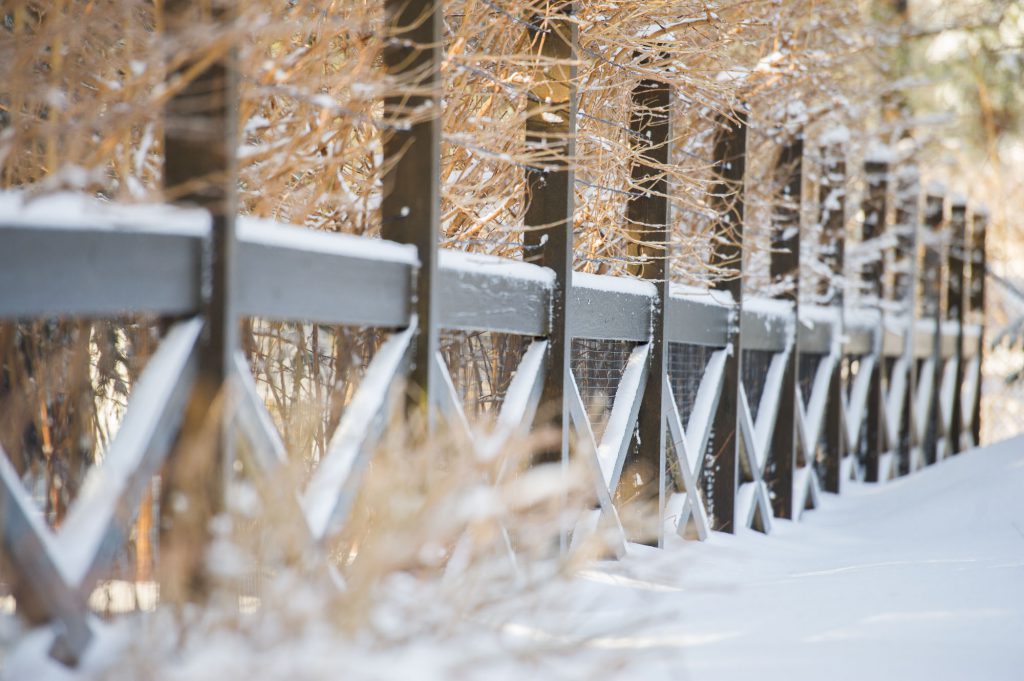 丨Janice Parker Landscape Architects-13