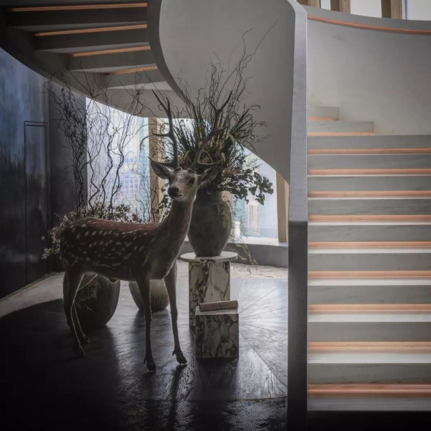 美国米其林三星大厨首家海外餐厅亮相深圳:奢侈是什么? 邵程-81