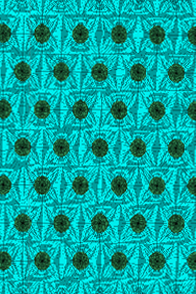 能知道|SSPG，超级地基计划-78