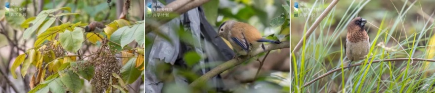 麓野公园丨中国成都丨四川乐道景观设计有限公司-31
