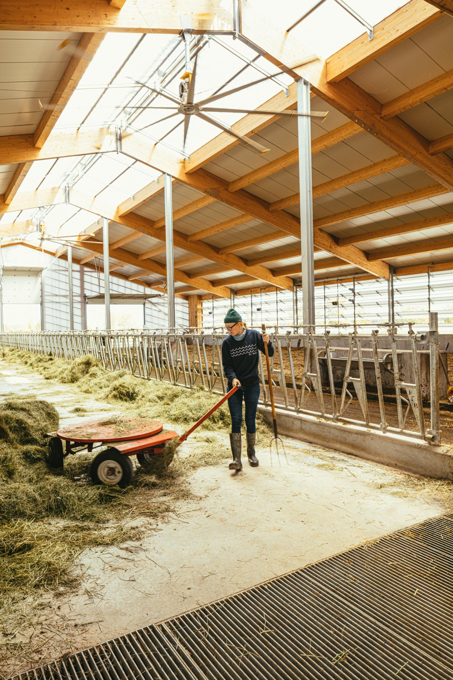融入自然的奶牛棚设计-10