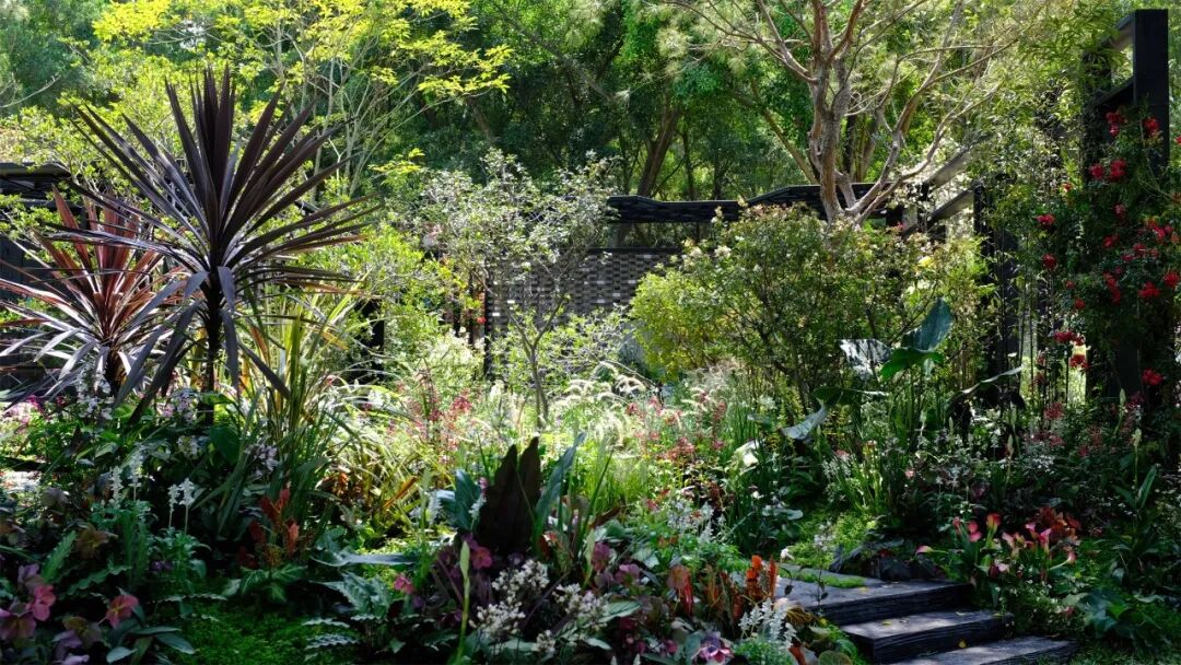 绮云书香|2024粤港澳大湾区花展宝安区城市花园-216