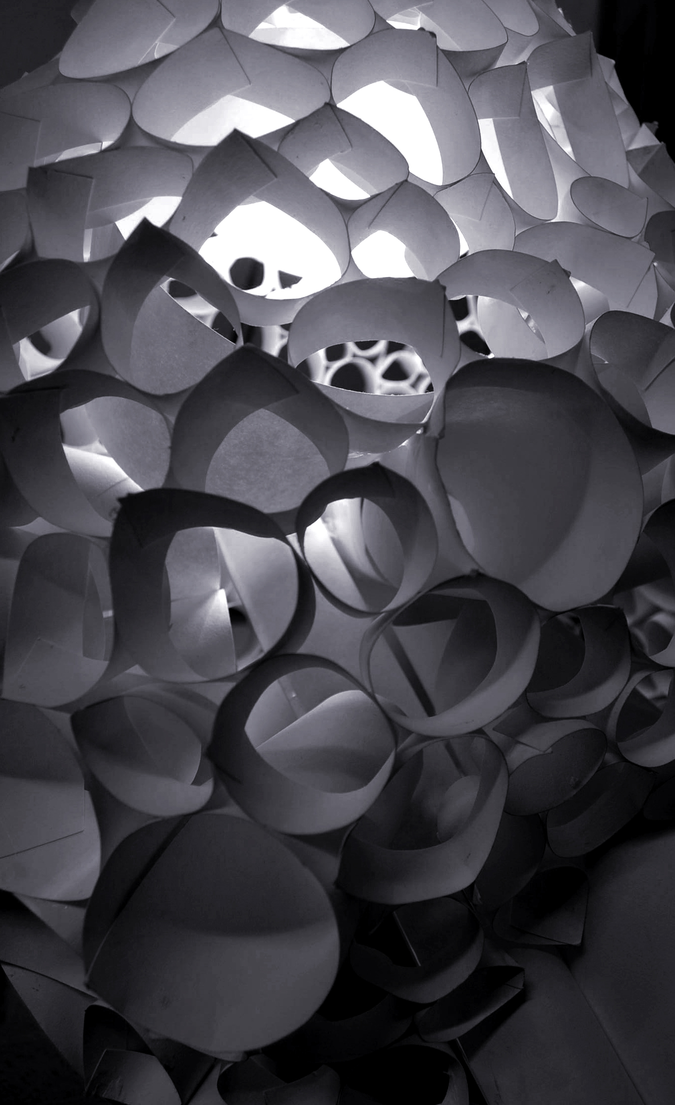 未明确提及丨捷克-37