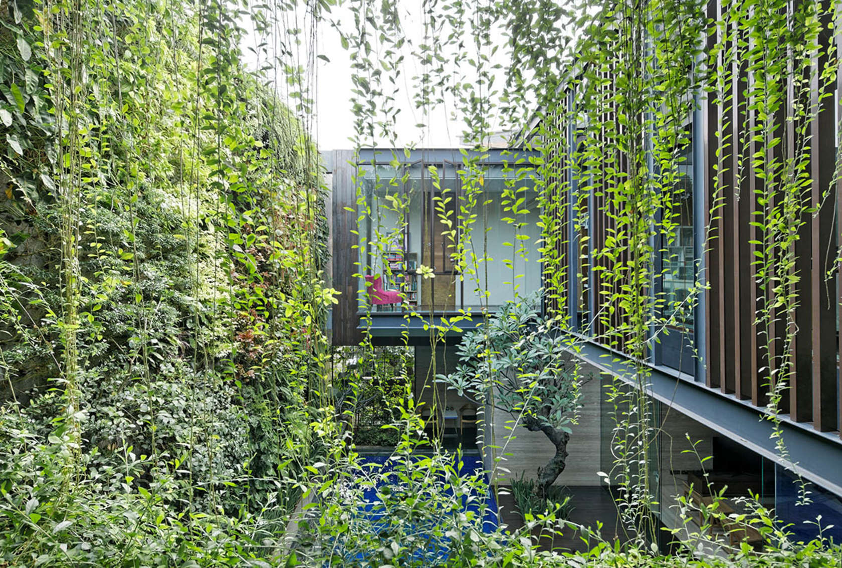 本屋南雅加达，印度尼西亚-12